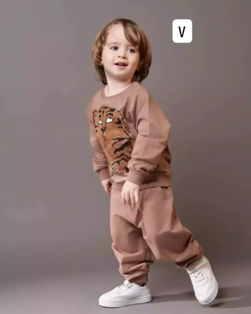 ست بلوز و شلوار طرح دار 491