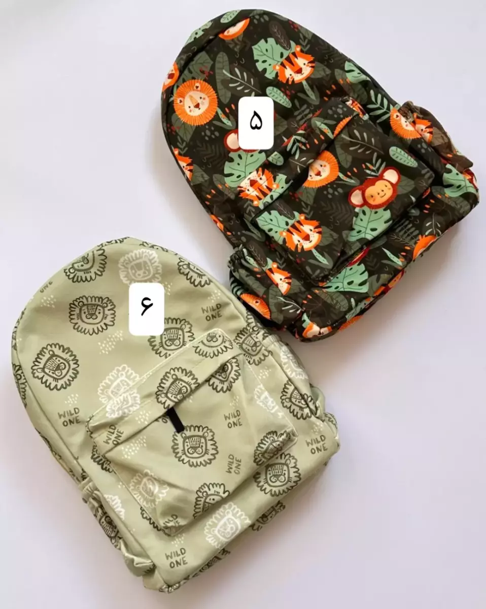 کوله پشتی فانتزی کد 780