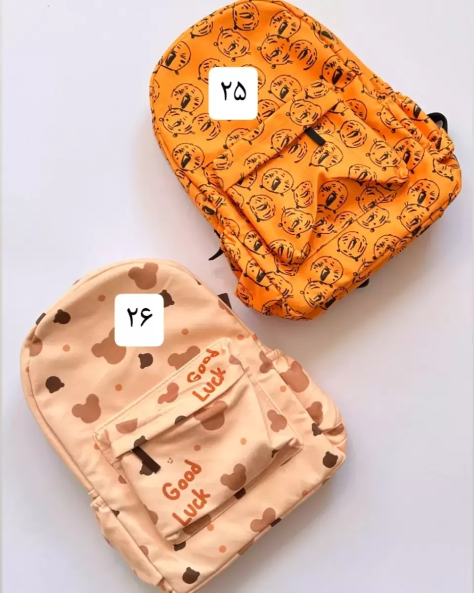 کوله پشتی فانتزی کد 780