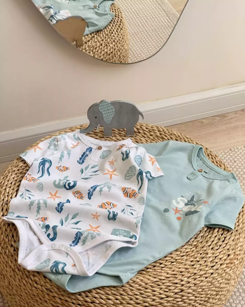 بادی دریا کد 790