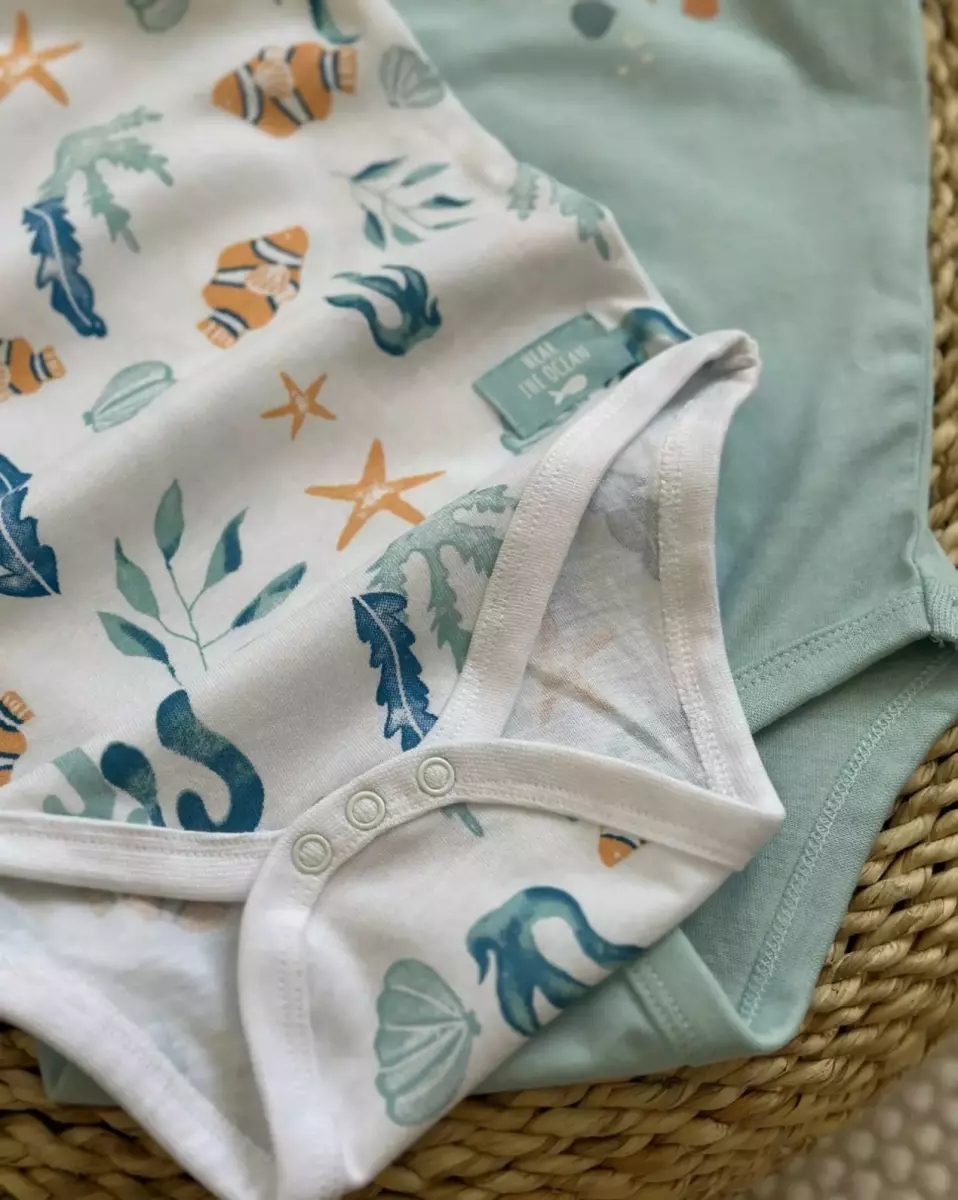 بادی دریا کد 790