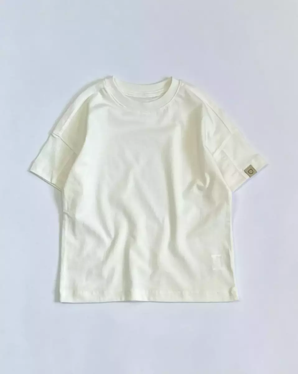 تیشرت کیان 809