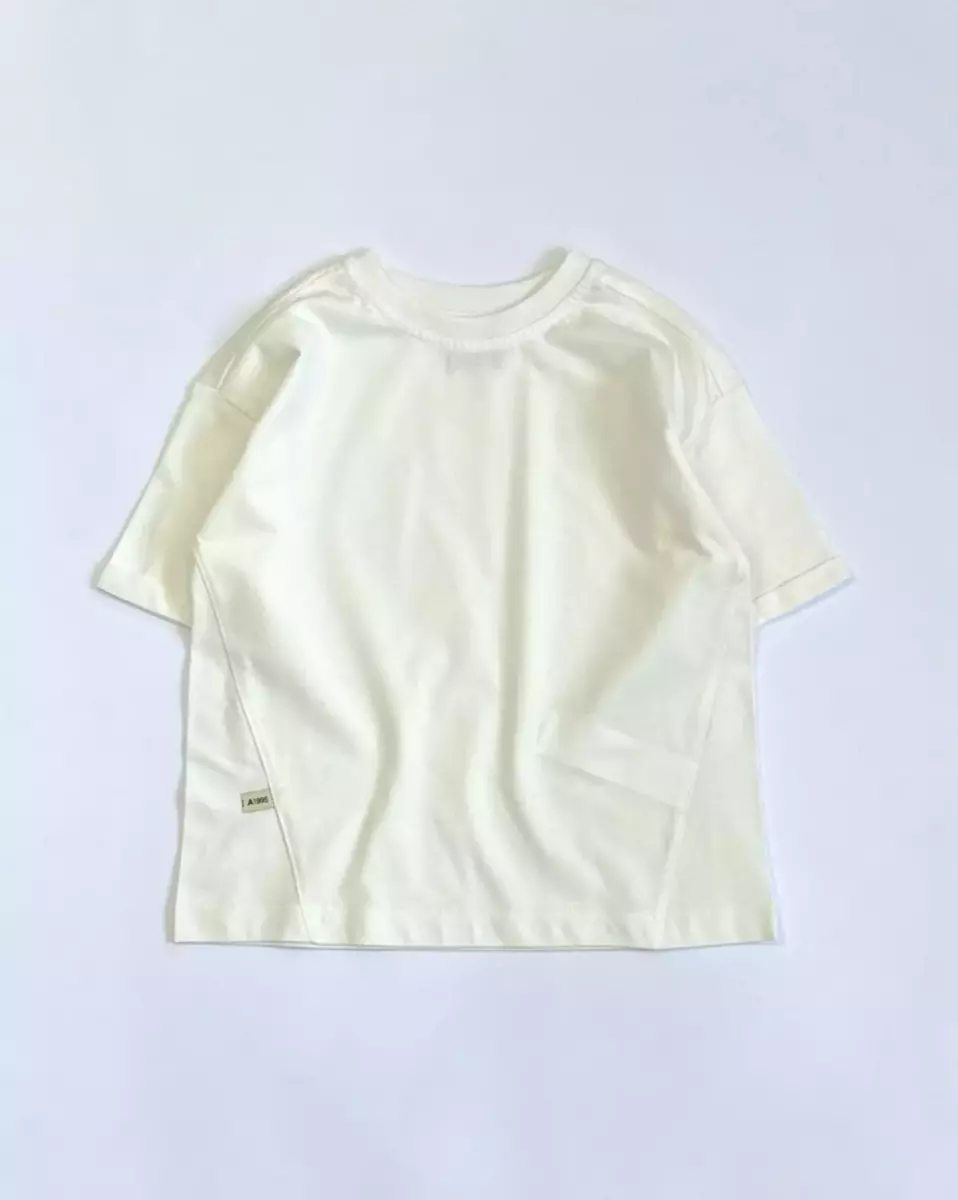 تیشرت ماهور کد 810