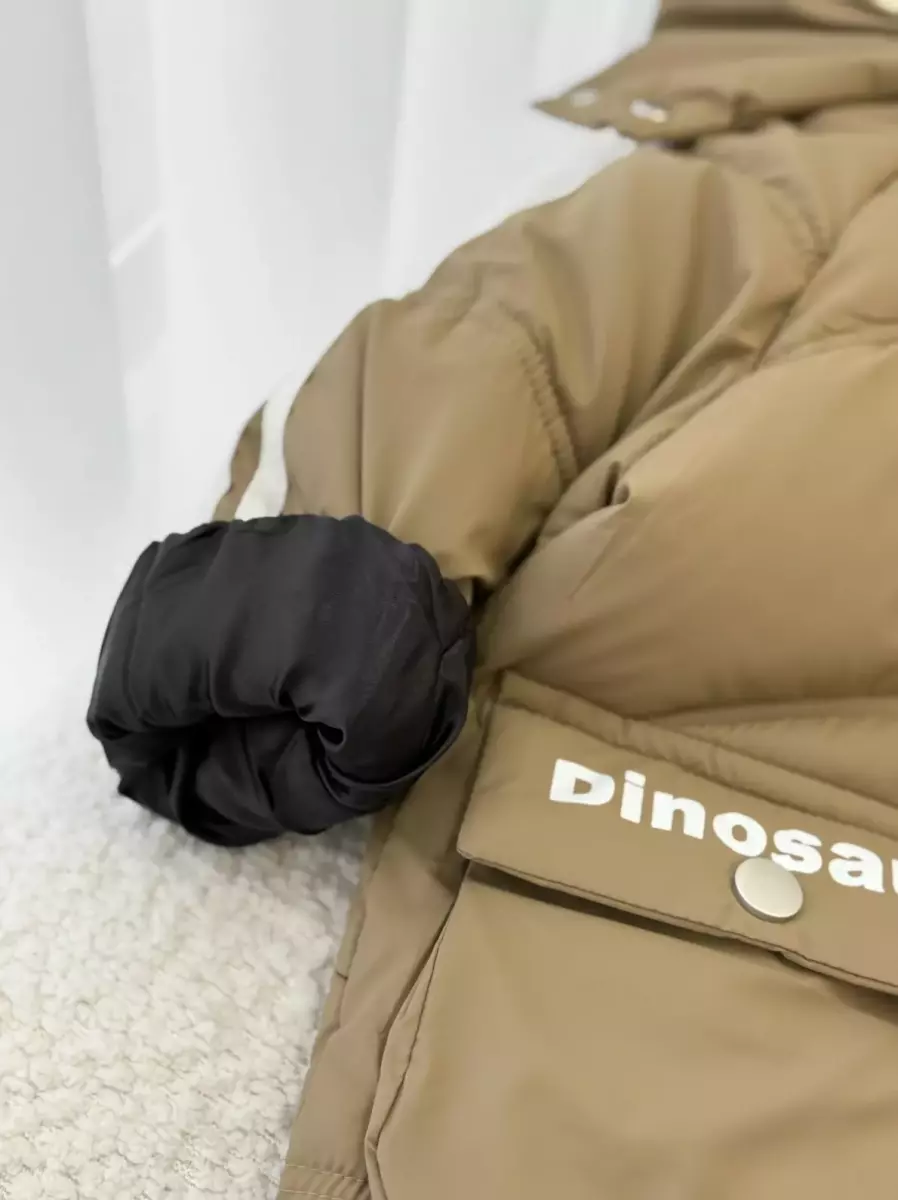 کاپشن A  دایناسور کد 100327