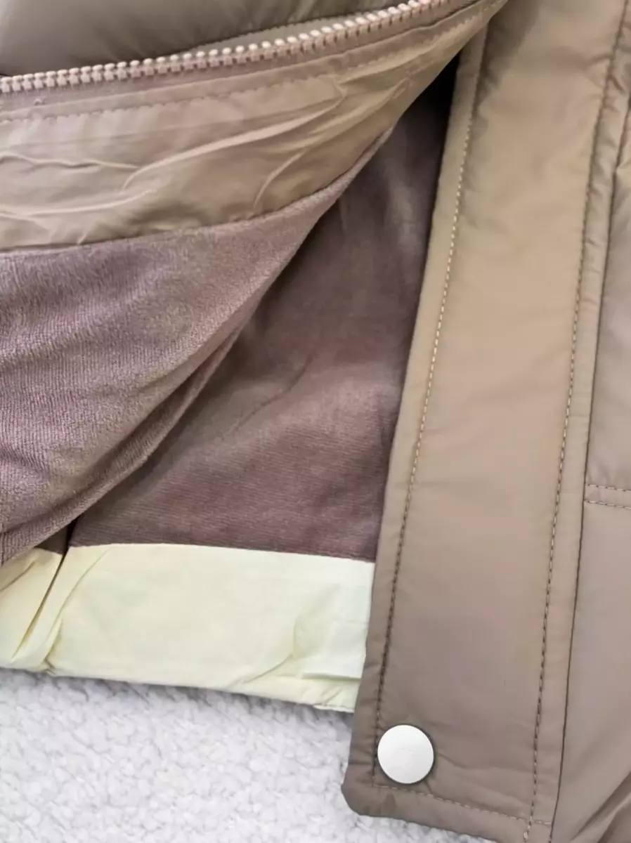 کاپشن A  دایناسور کد 100327