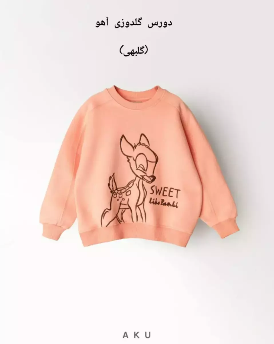 دورس گلدوزی آکو کد 100063