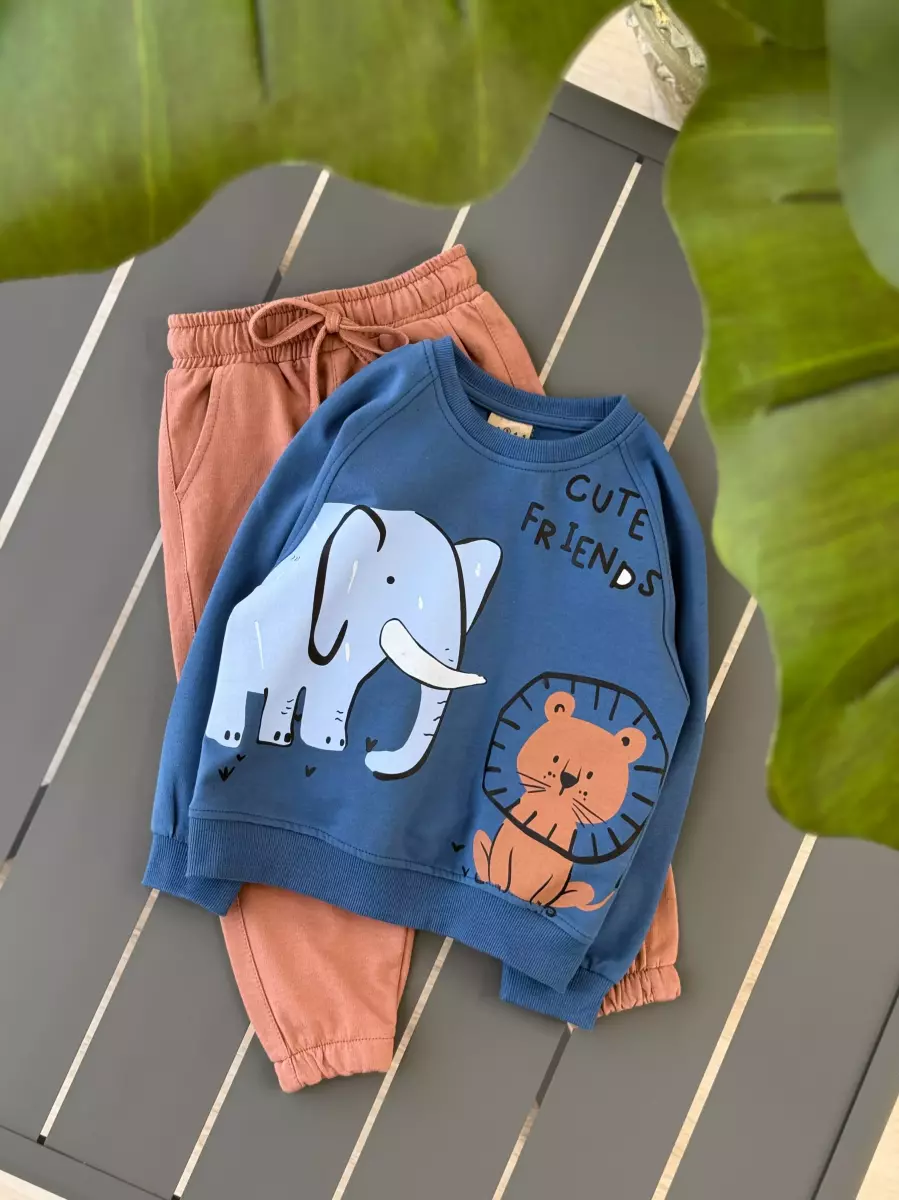 دو تیکه چاپی آکو