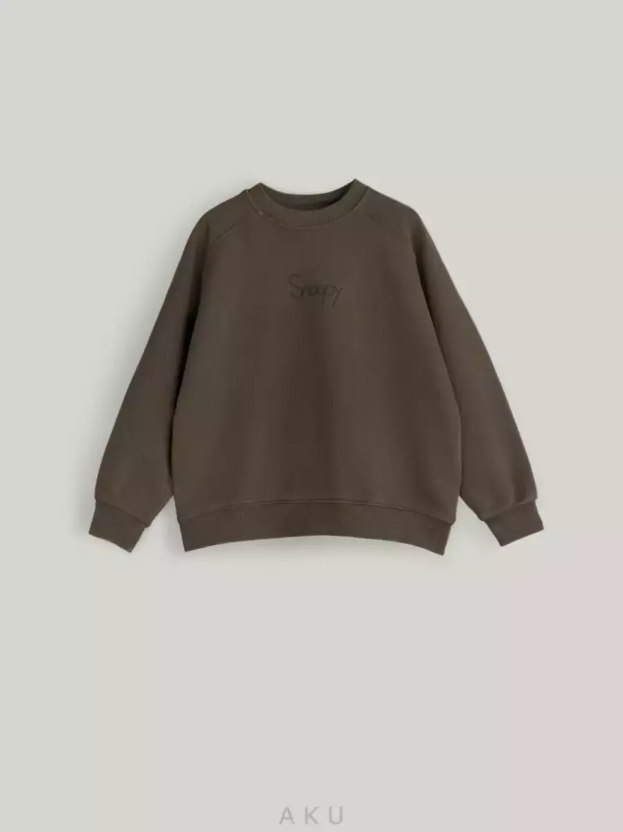 بلوز تک اسنوپی