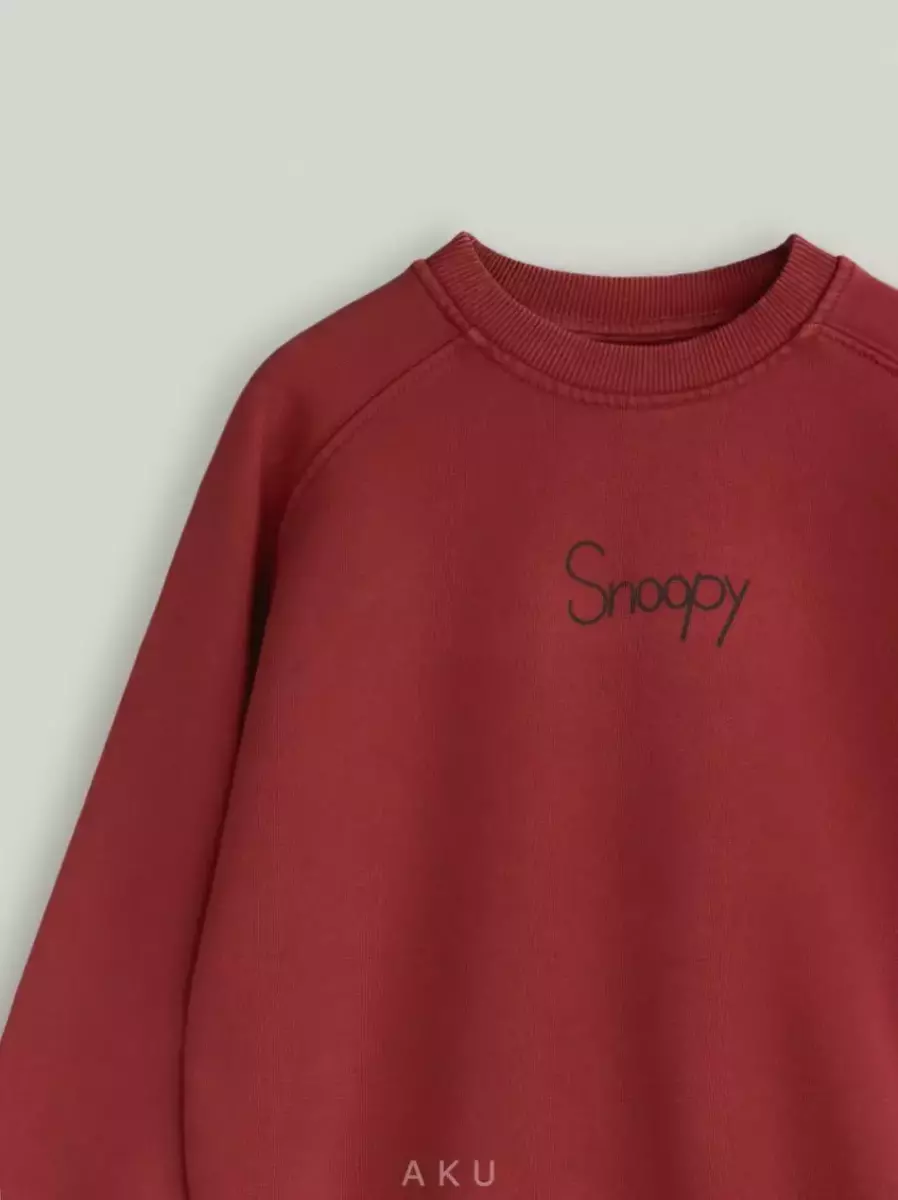 بلوز تک اسنوپی