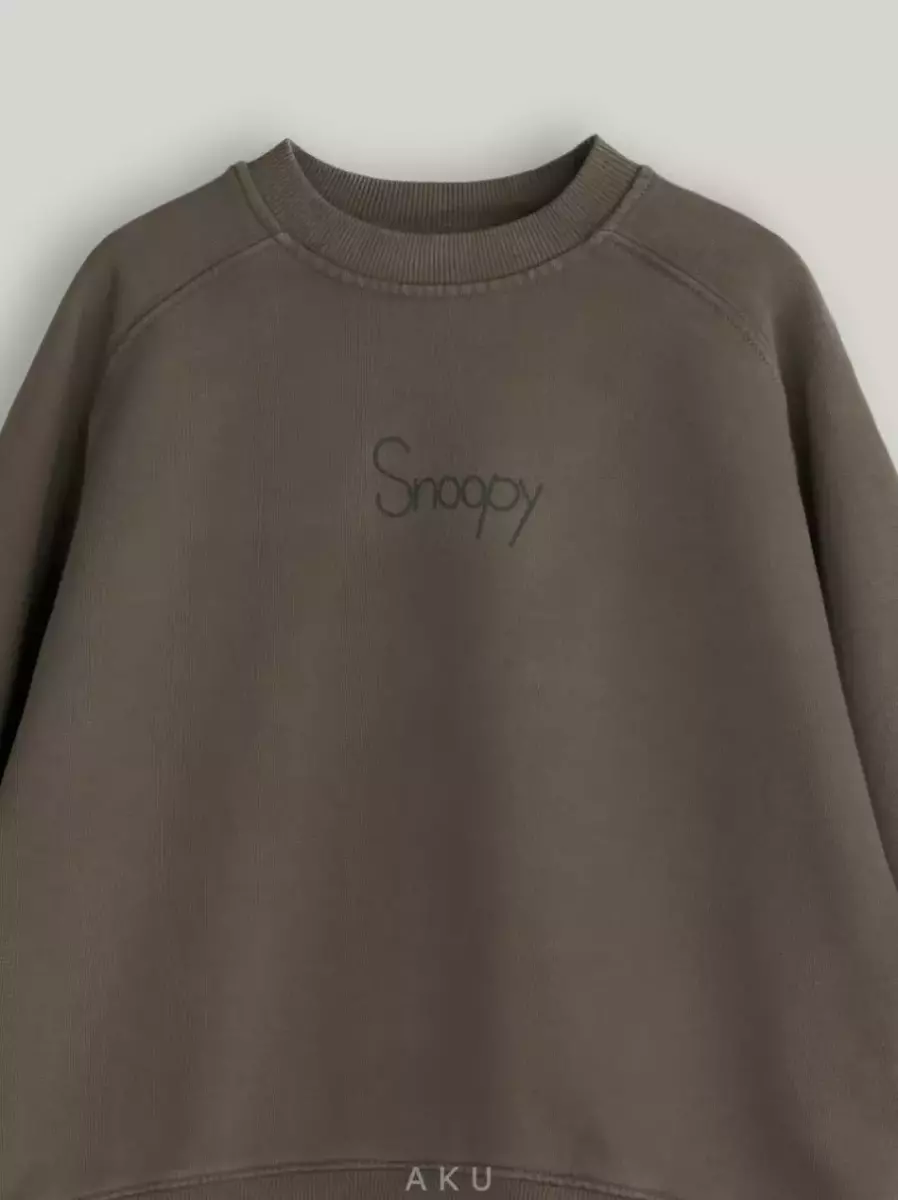 بلوز تک اسنوپی