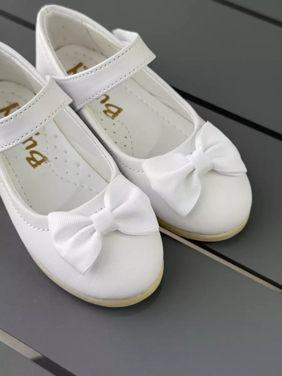 مجلسی پاپیون دار