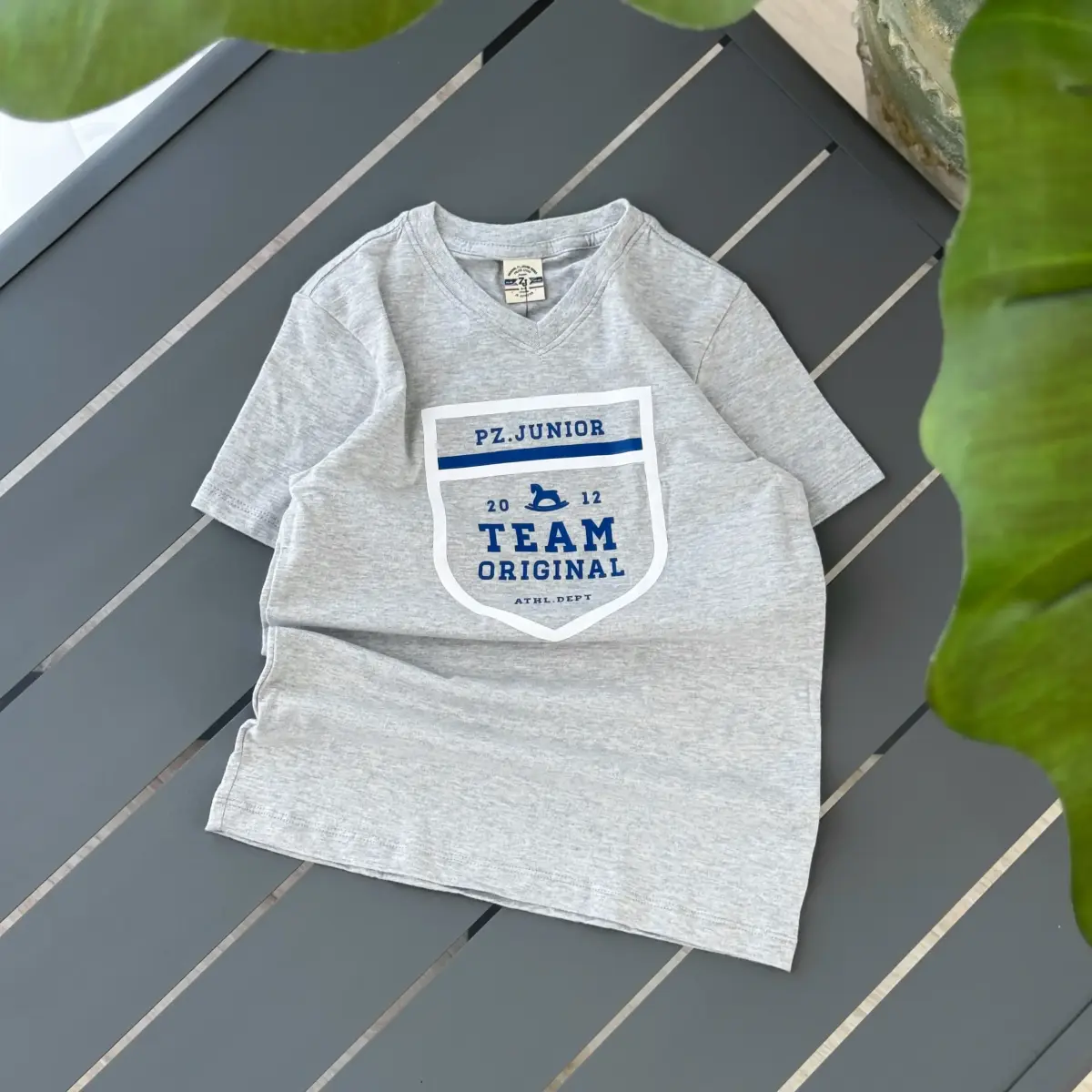تیشرت TEAM