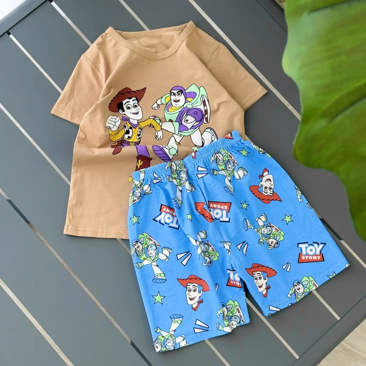 ست چینی طرح  TOY STORY